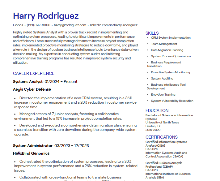 systems analyst cv