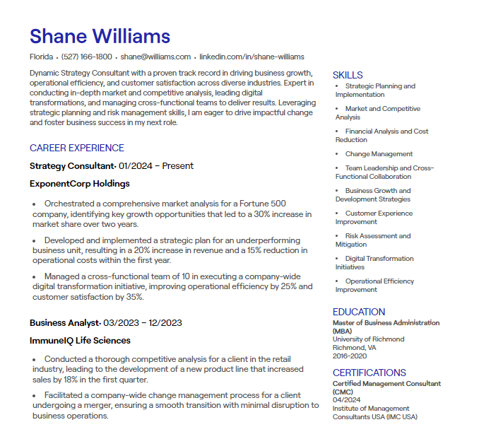 strategy consultant cv
