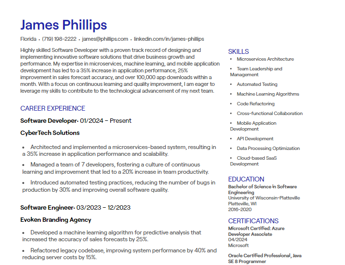 software developer cv