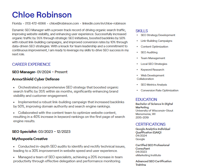 seo manager cv