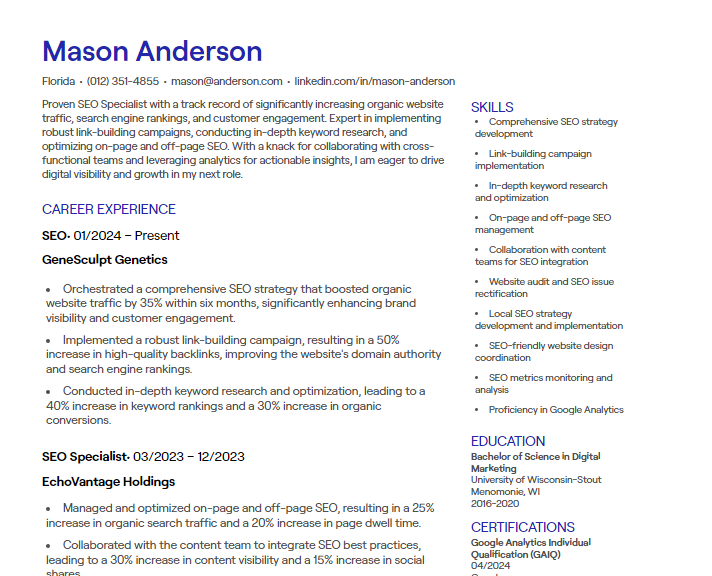 seo cv