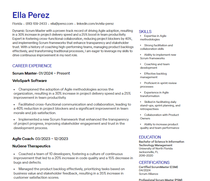 scrum master cv