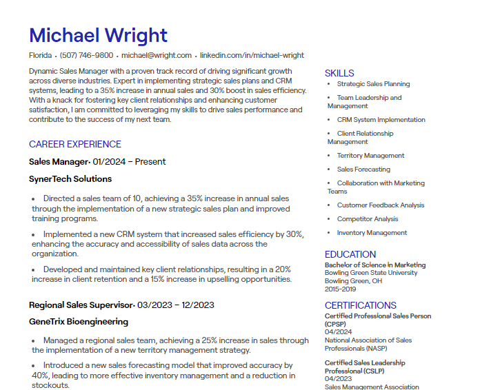 sales manager cv