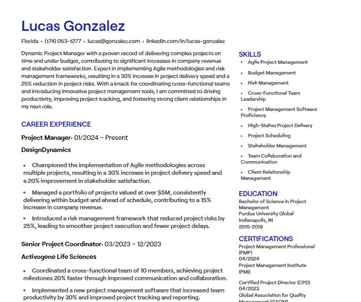 project manager cv