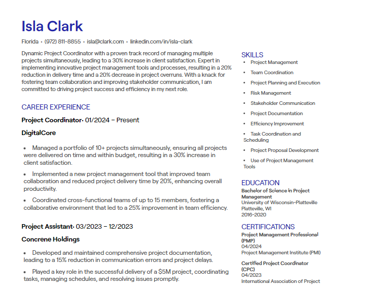 project coordinator cv