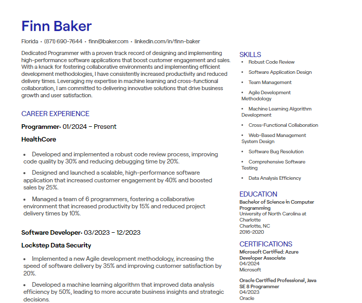 programmer cv