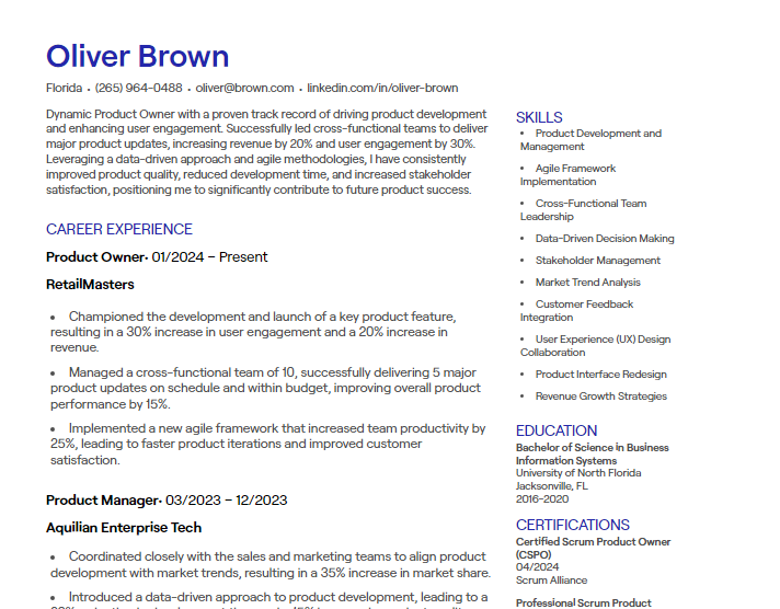 product owner cv