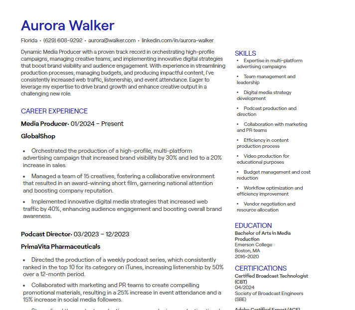 media producer cv