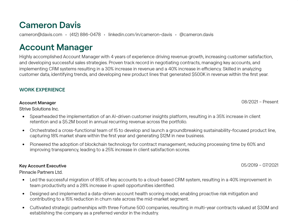 account manager cv