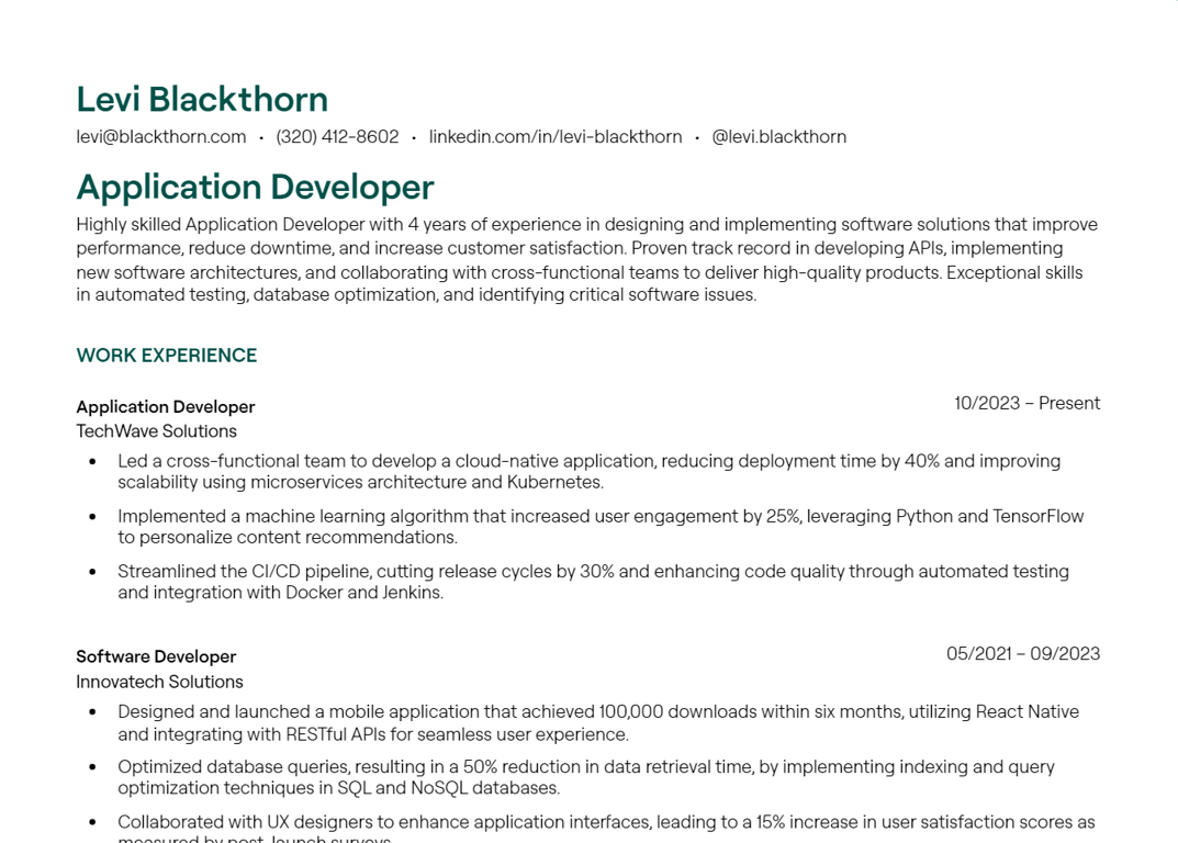 application developer cv