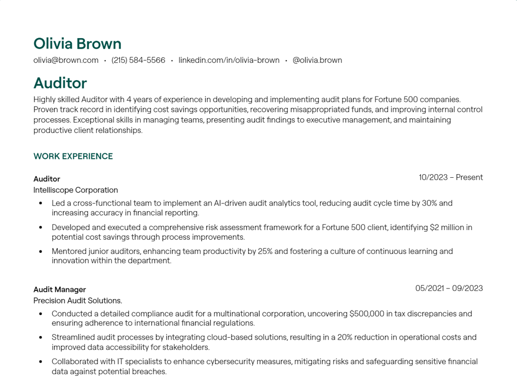 auditor cv