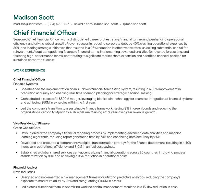 chief financial officer cv