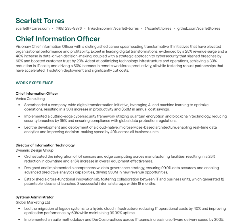 chief information officer cv