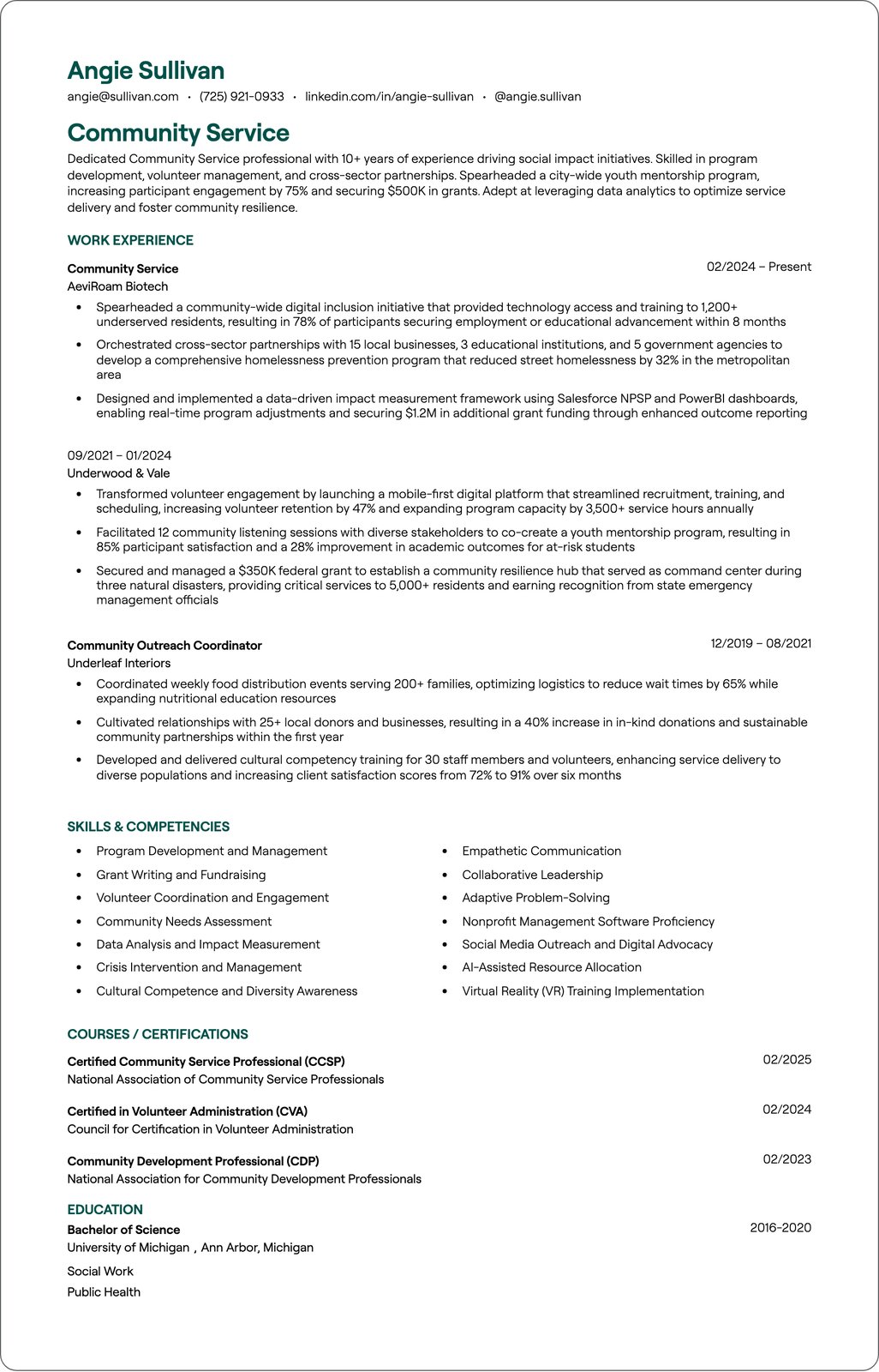 Community Service Officer resume example