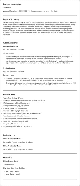 Chief Technology Officer resume example