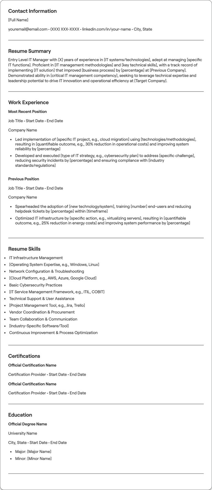 Entry Level IT Manager resume example