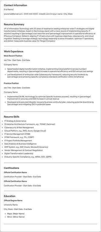 VP of Information Technology resume preview