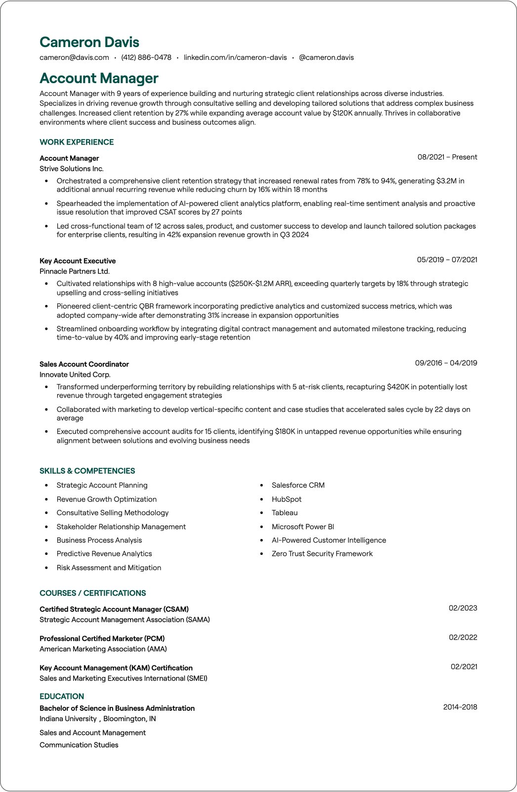Technical Account Manager resume example