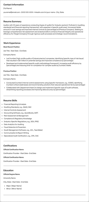 Auditor resume preview