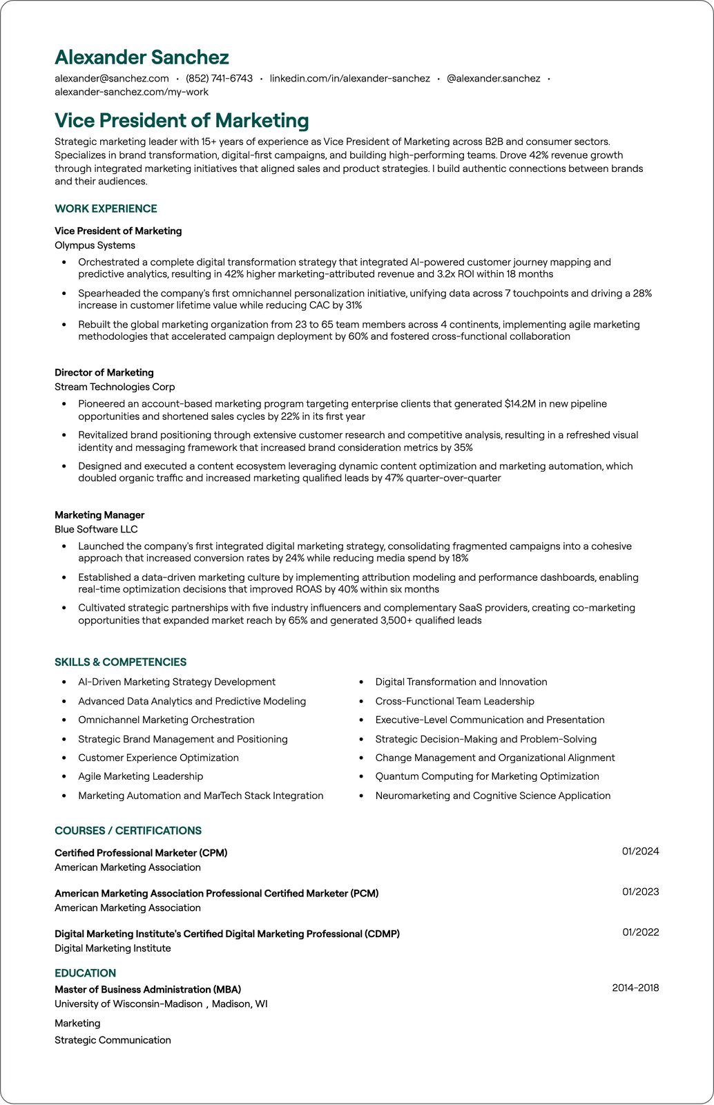 Vice President of Marketing resume example