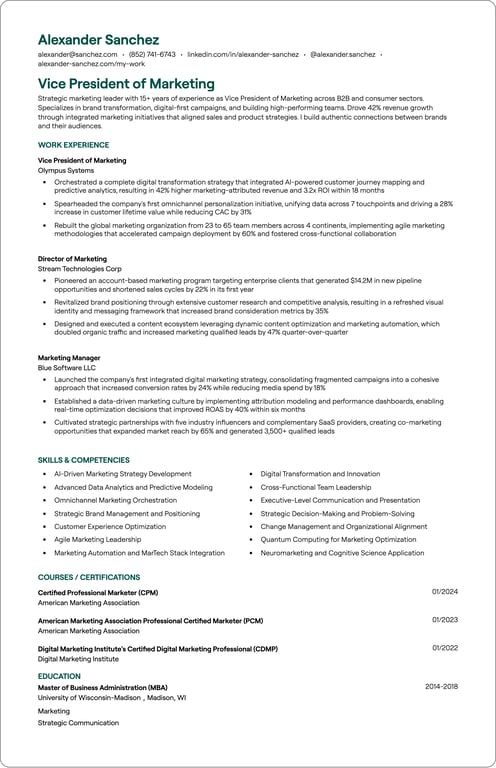 Vice President of Marketing resume example