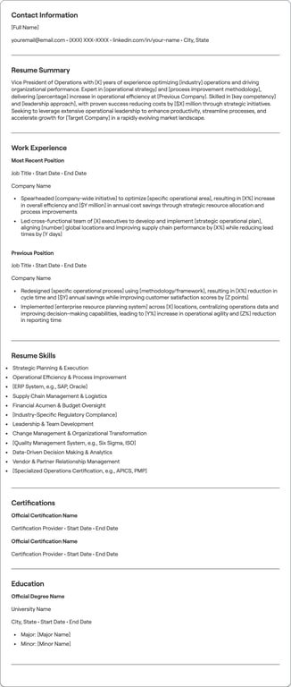Vice President of Operations resume example