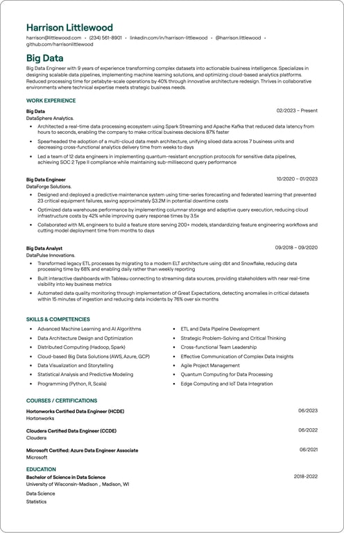 Big Data resume preview