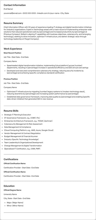 Chief Information Officer resume example