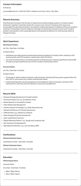 Small Business Consultant resume example