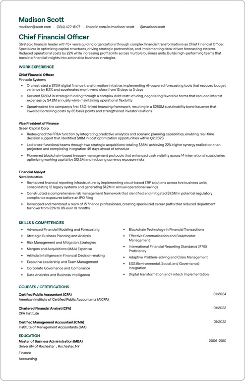 Chief Financial Officer resume example