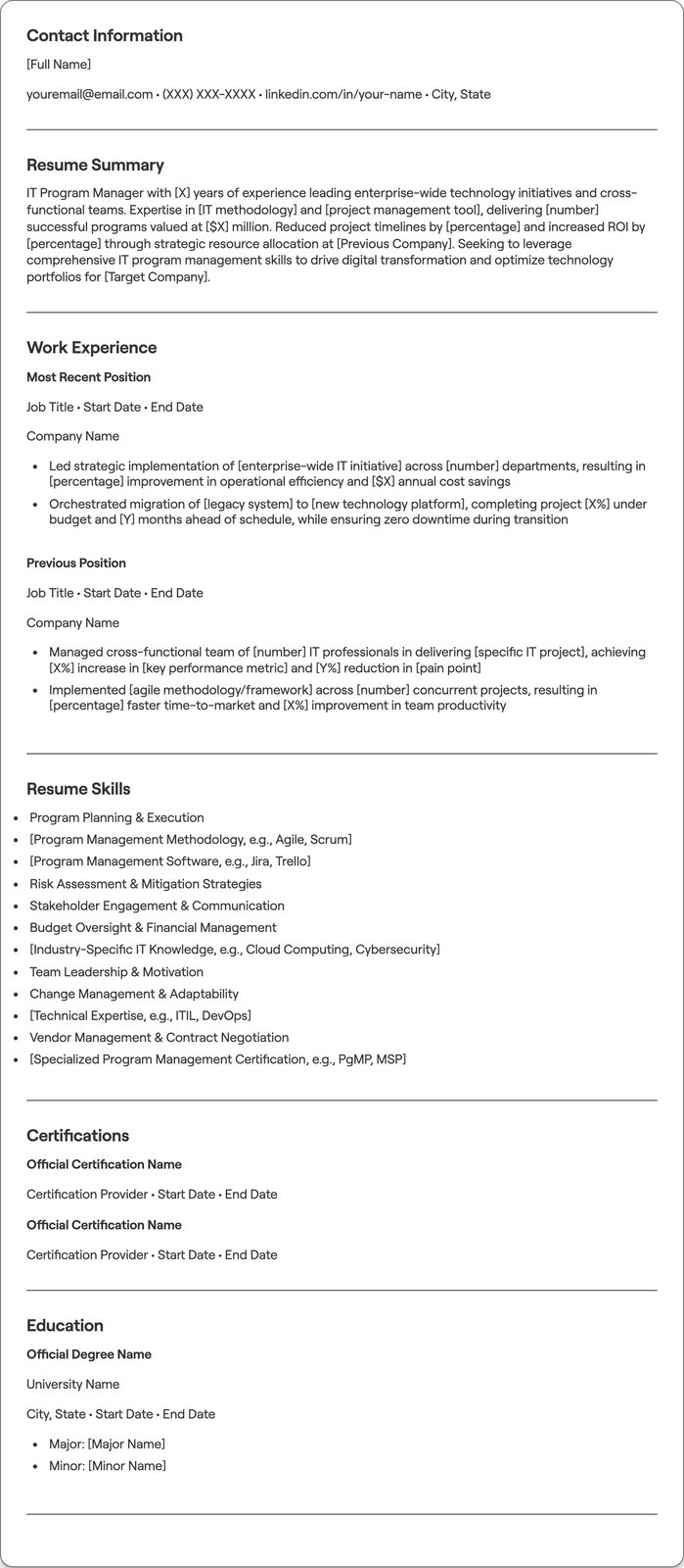 IT Program Manager resume example