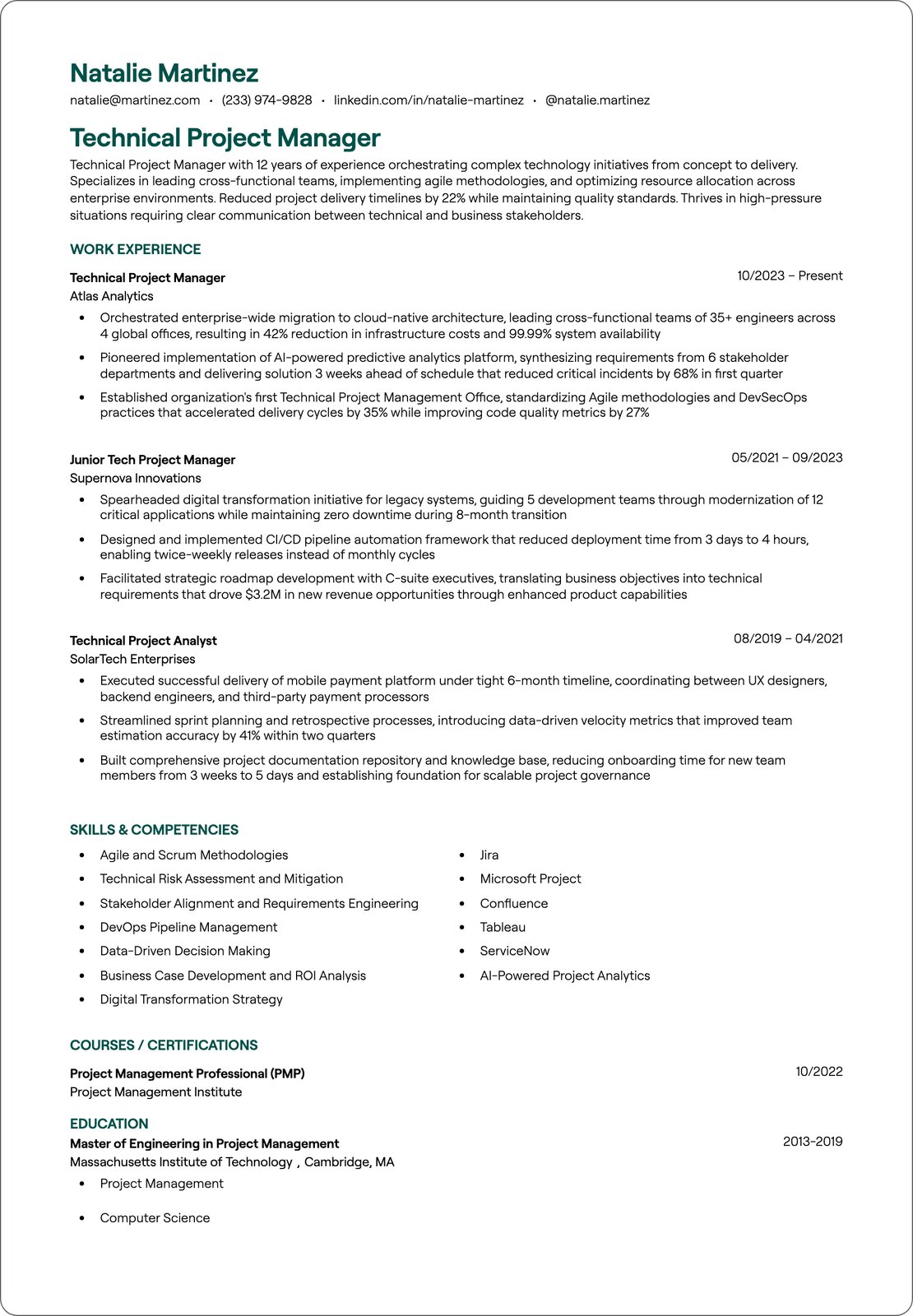 Senior Technical Project Manager resume example