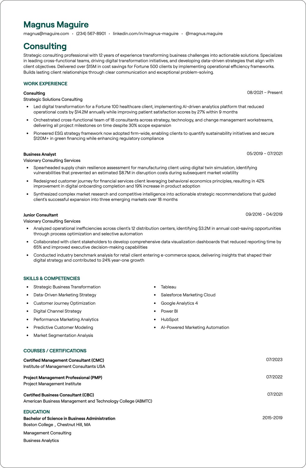 Computer Consultant resume example
