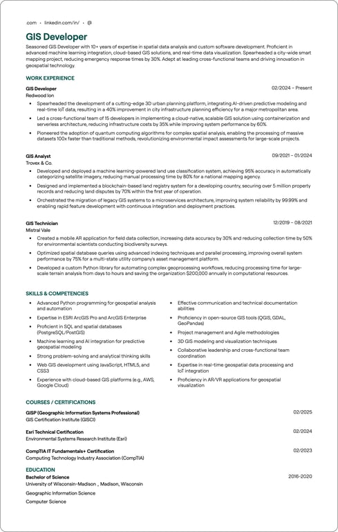 GIS resume preview