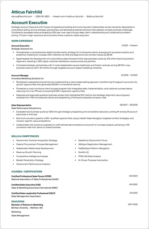 Account Executive resume example