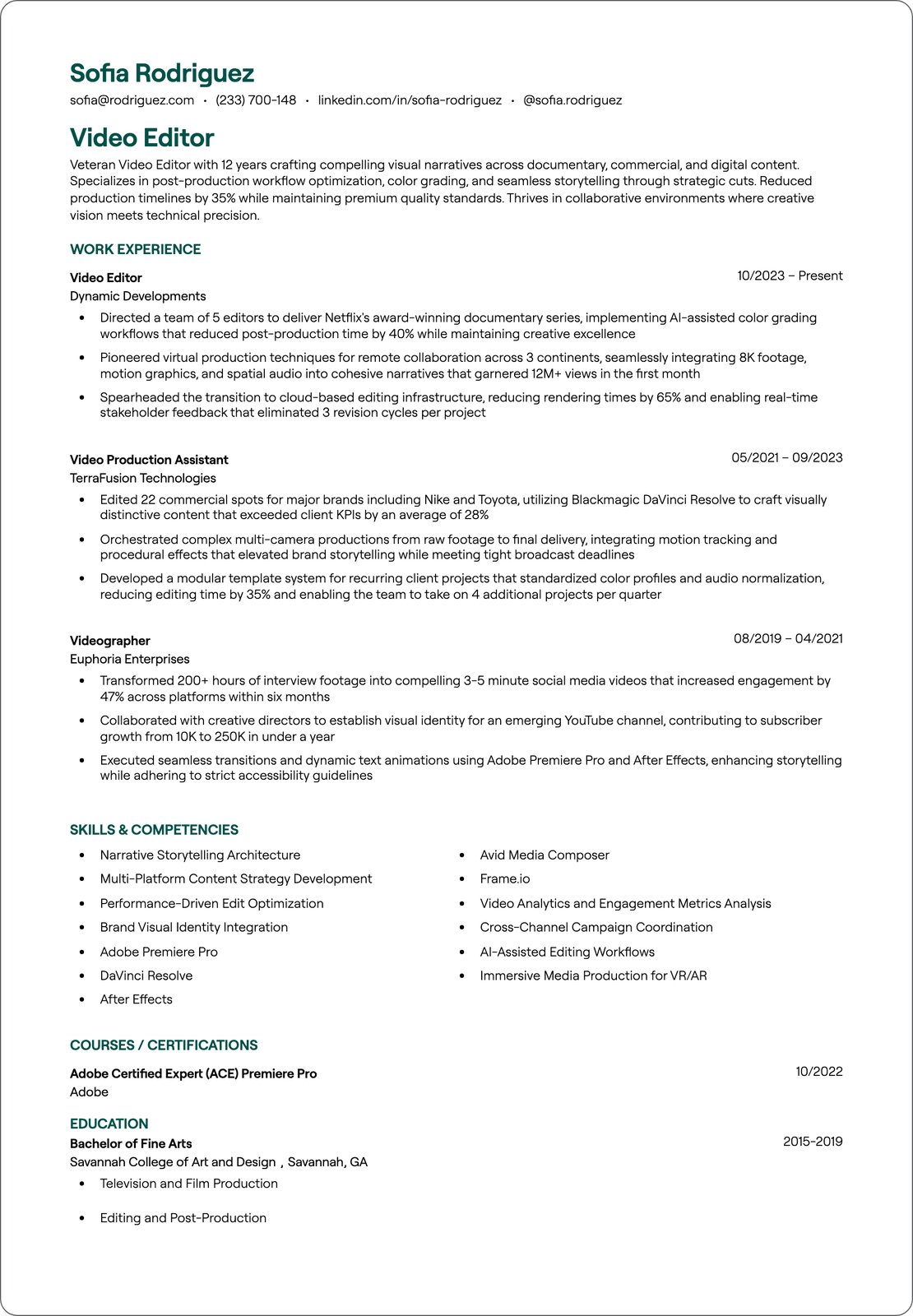 Senior Video Editor resume example
