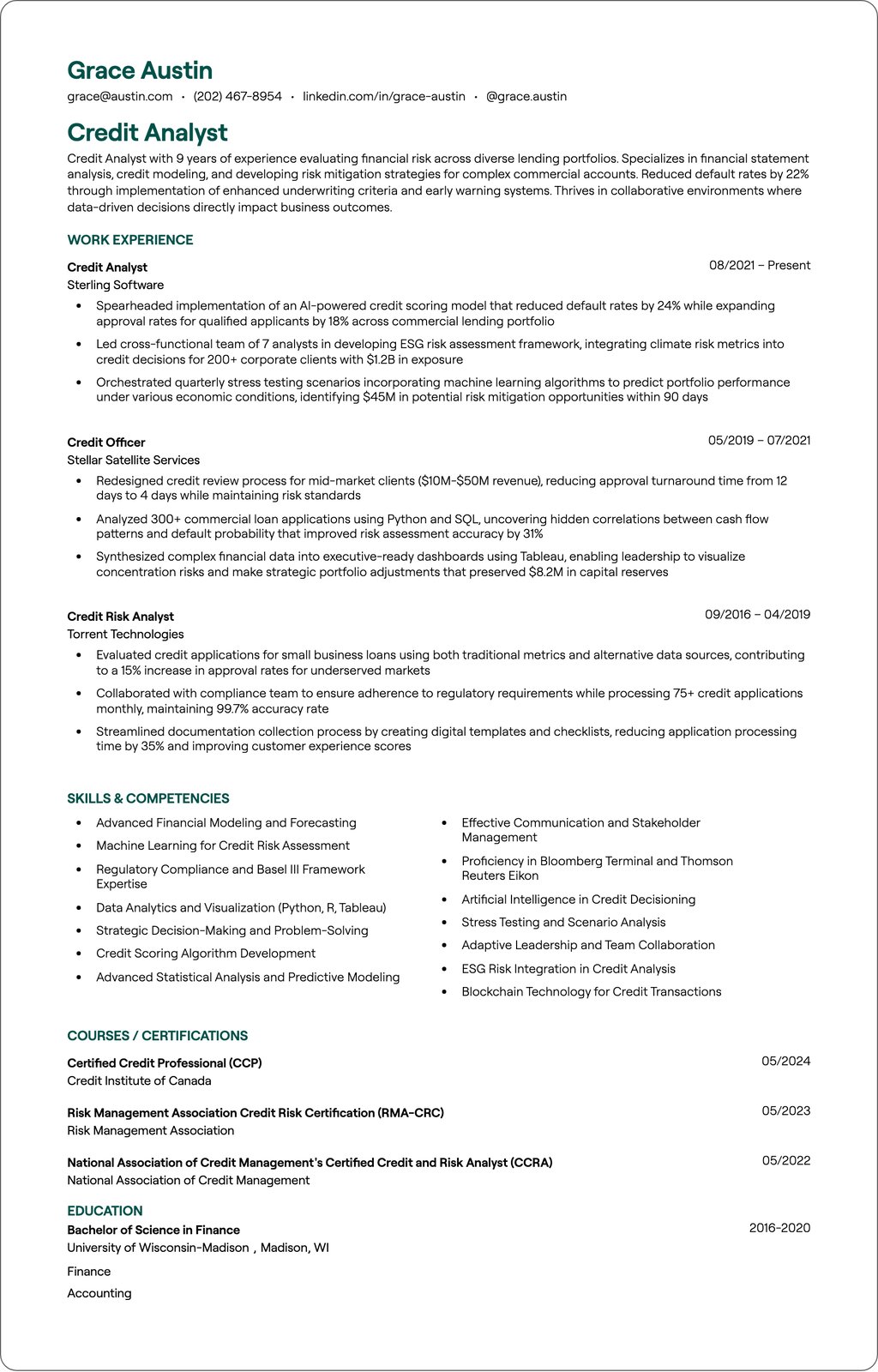 Lead Credit Analyst resume example