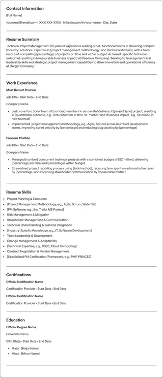 Technical Project Manager resume example