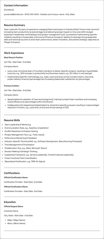 Team Lead resume preview