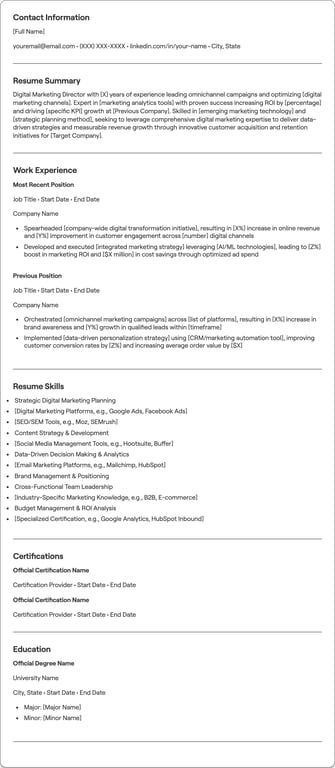 Digital Marketing Director resume example