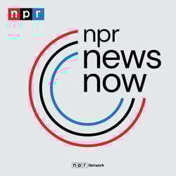NPR News: 01-01-2025 7PM EST