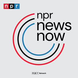 NPR News: 11-23-2024 8PM EST