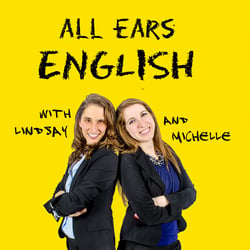 AEE: Are You on a Wild Goose Chase for Better English? Listen Today