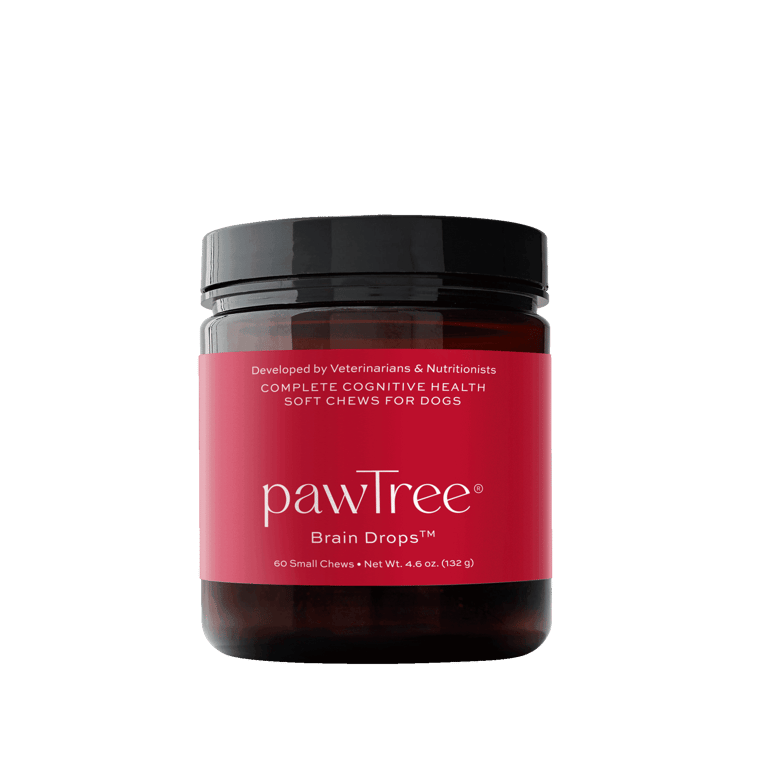Brain Drops for Dogs pawTree