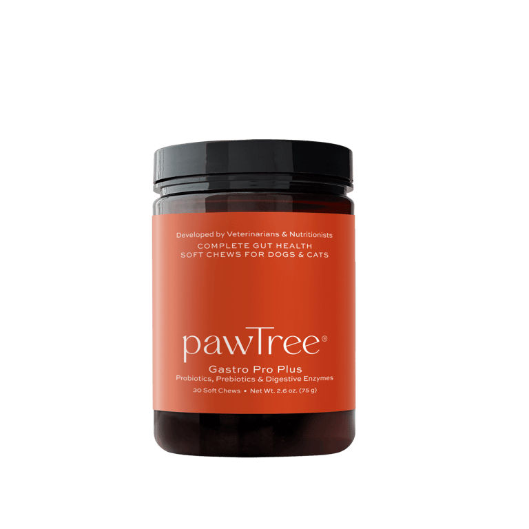 Gastro Pro Plus pawTree