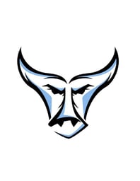 team TIER I 15O BLUE OX logo