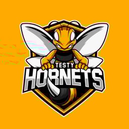 team Hornets logo