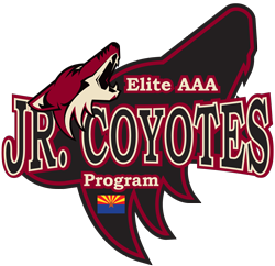 team Arizona Coyotes logo