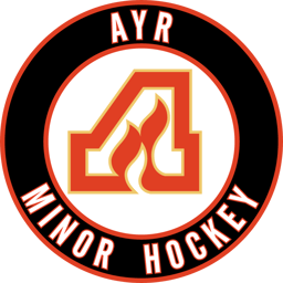team Ayr U15 B logo