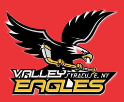 Standings | New York State Amateur Hockey Association (NYSAHA ...